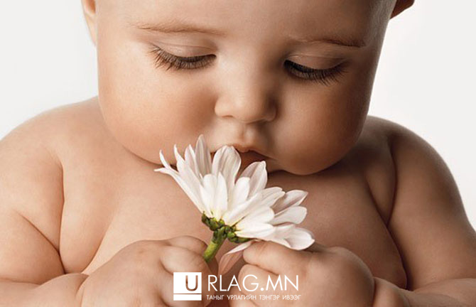 D&G нярайд зориулсан үнэртэн гаргана